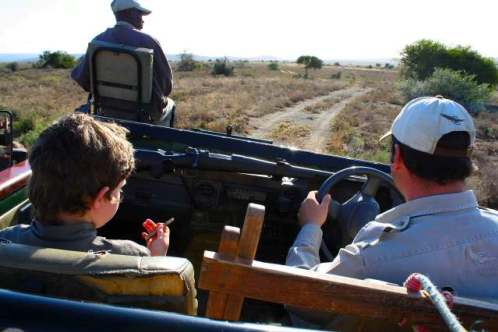 on safari